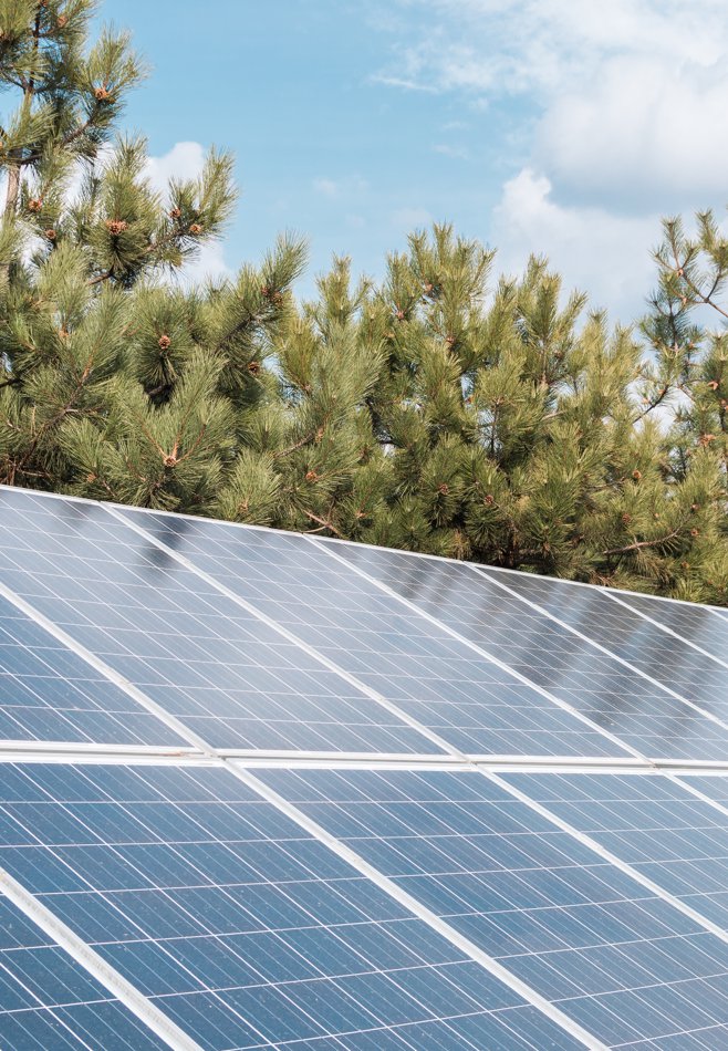 dotexteis_Sustainability_ACT